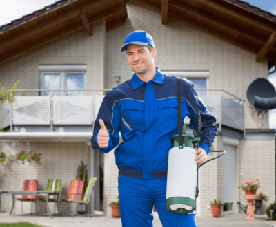 Pest Control Marketing Ideas