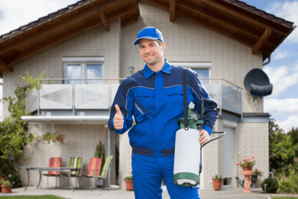 Pest Control Marketing Ideas